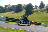 Vintage-motorcycle-club;eventdigitalimages;mallory-park;mallory-park-trackday-photographs;no-limits-trackdays;peter-wileman-photography;trackday-digital-images;trackday-photos;vmcc-festival-1000-bikes-photographs